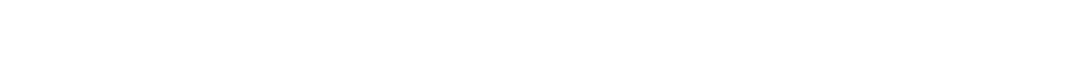 Birdinterface Logo