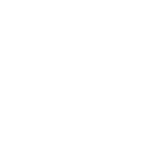 Birdinterface Logo